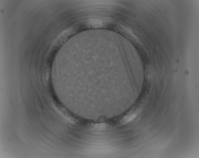 X0000077350645200611101615