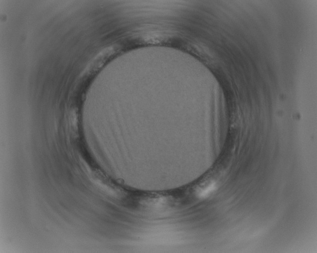 X0000077350646200611101615