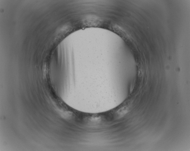 X0000077350647200611101615