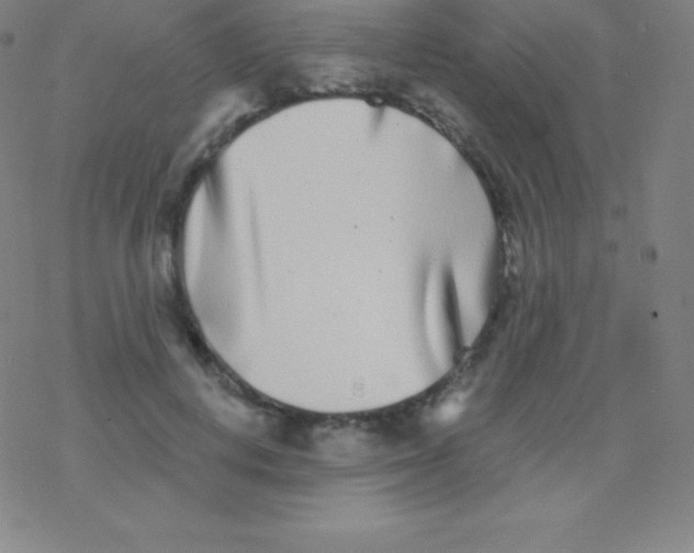 X0000077350648200611101615