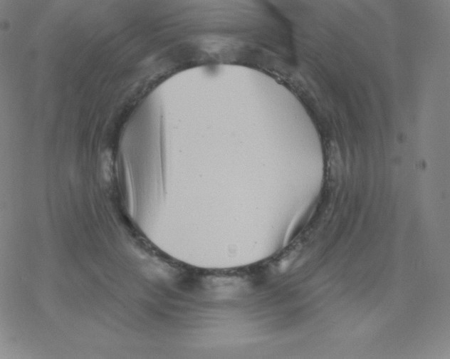 X0000077350649200611101615