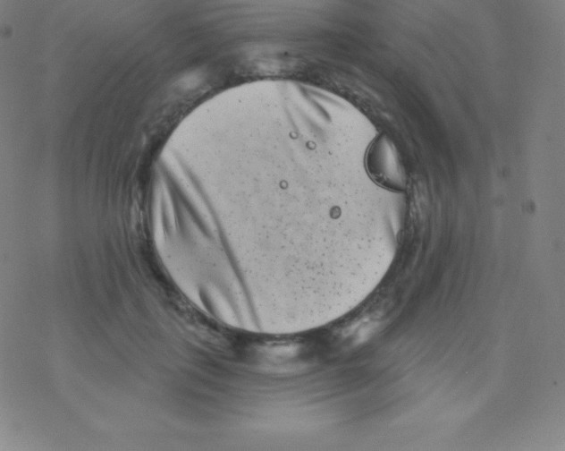 X0000077350651200611101615