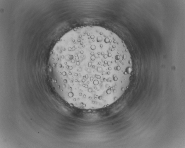 X0000077350653200611101615