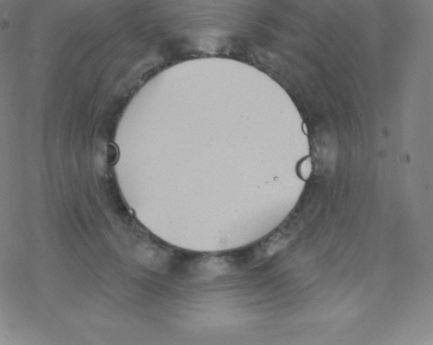 X0000077350656200611101615