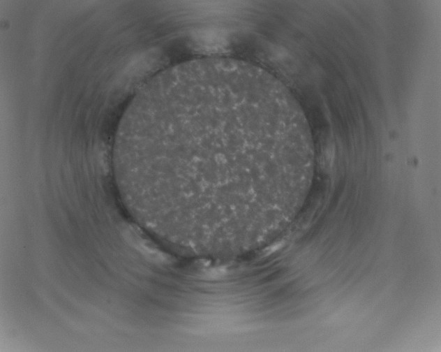 X0000077350658200611101615