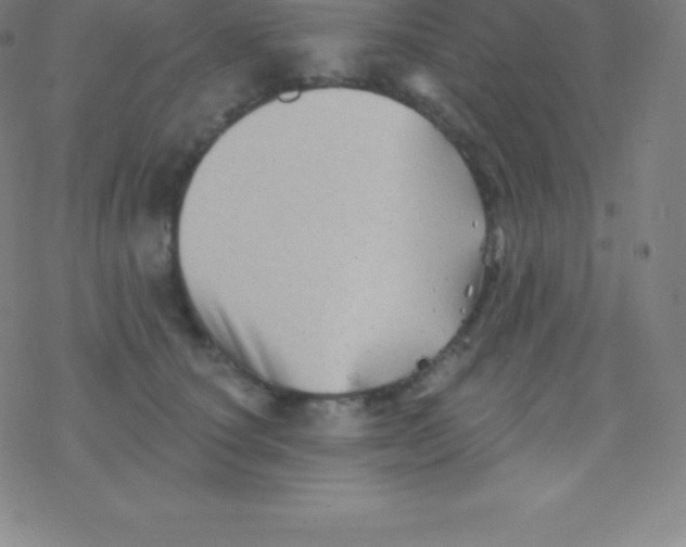 X0000077350660200611101615