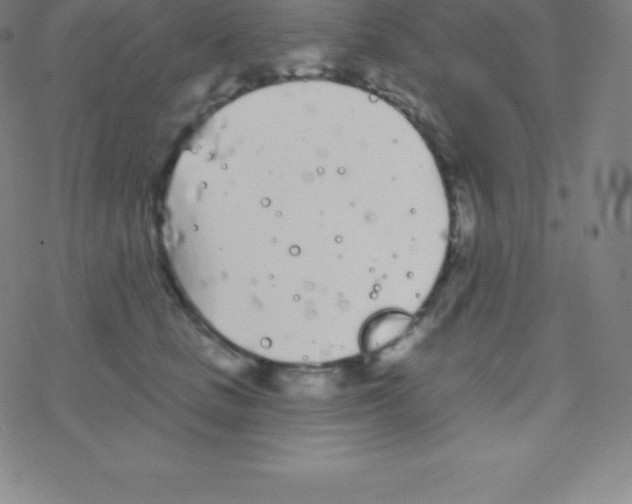 X0000077350661200611101615