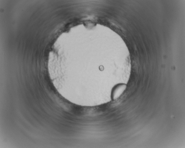 X0000077350662200611101615