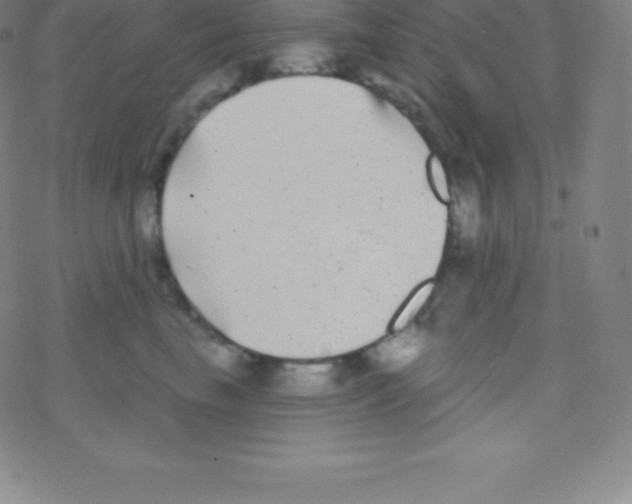 X0000077350665200611101615