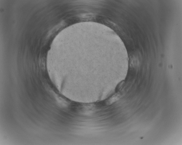 X0000077350666200611101615