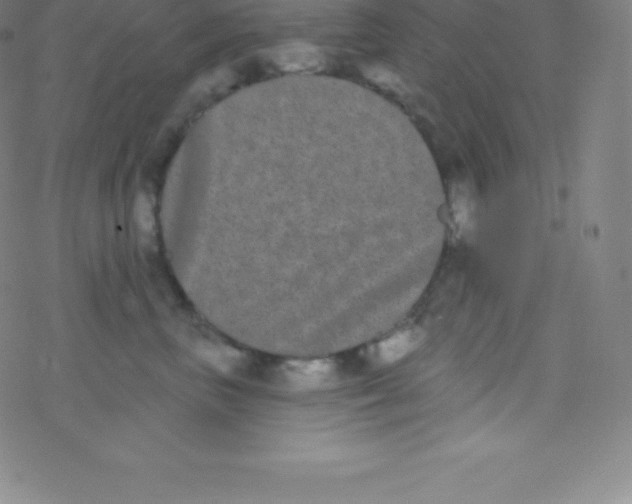 X0000077350667200611101615