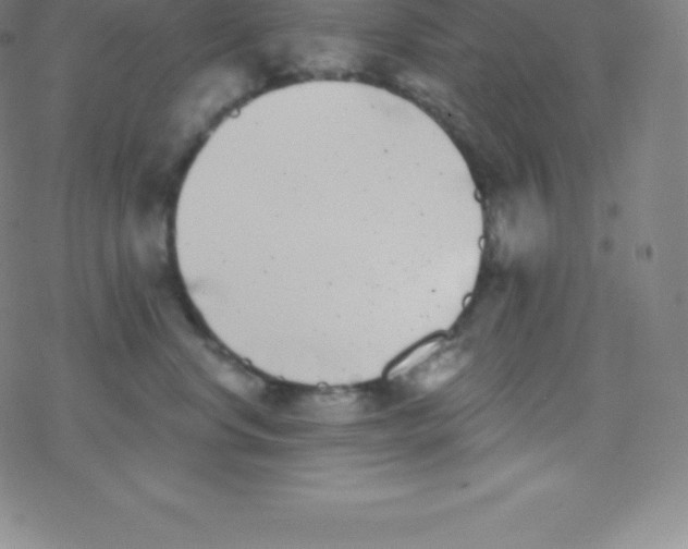 X0000077350668200611101615