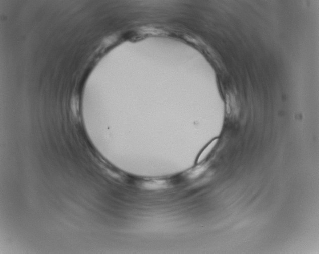 X0000077350669200611101615