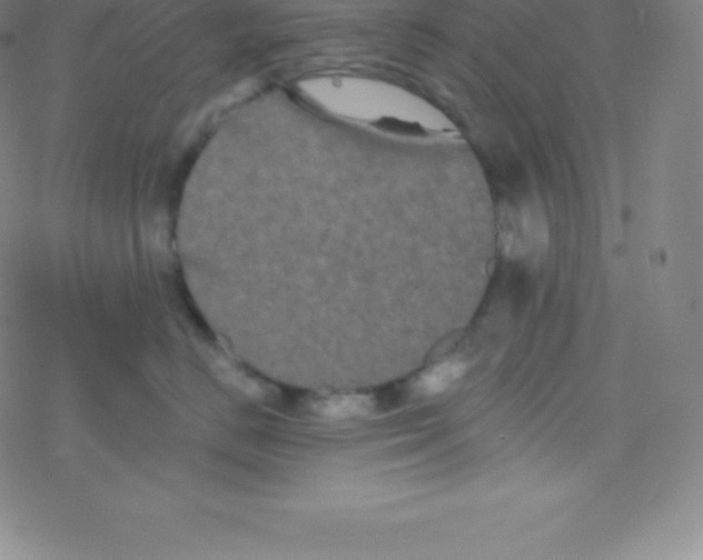 X0000077350670200611101615