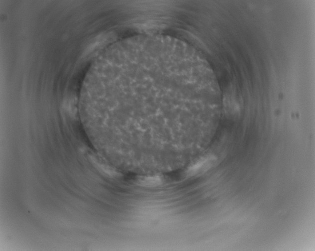 X0000077350671200611101615