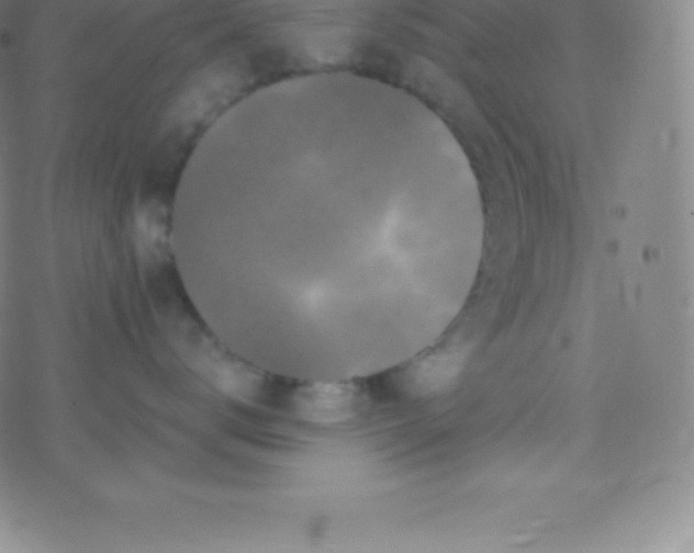 X0000077350672200611101615