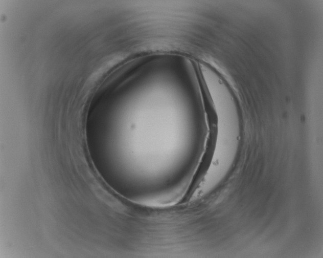 X0000077350673200611101614