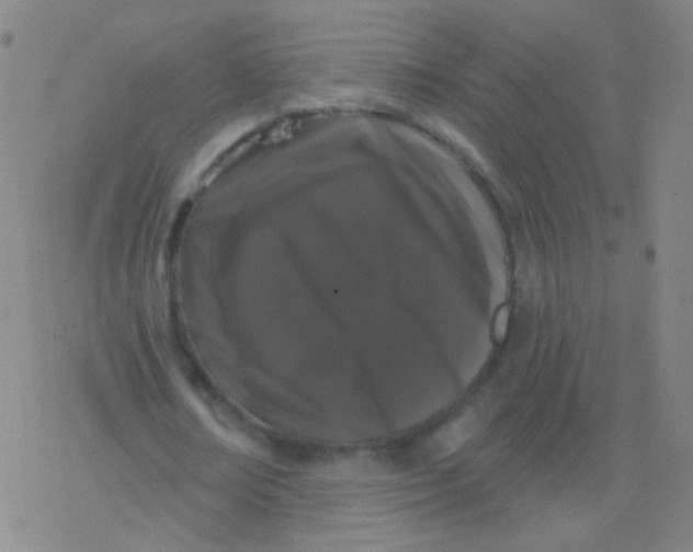 X0000077350674200611101614