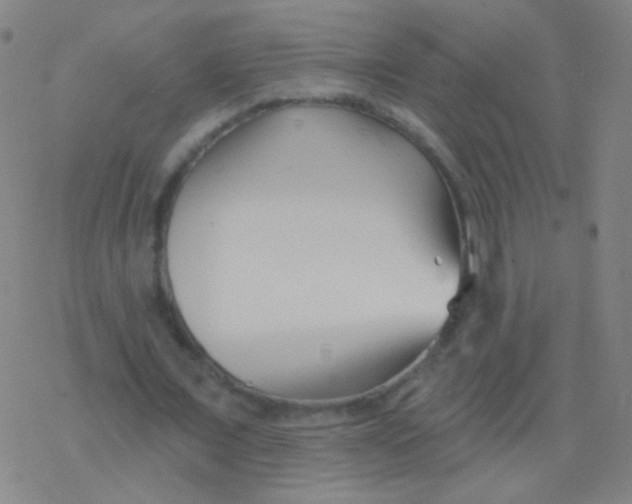 X0000077350675200611101614