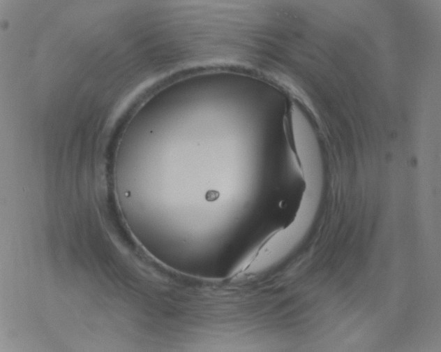 X0000077350676200611101614