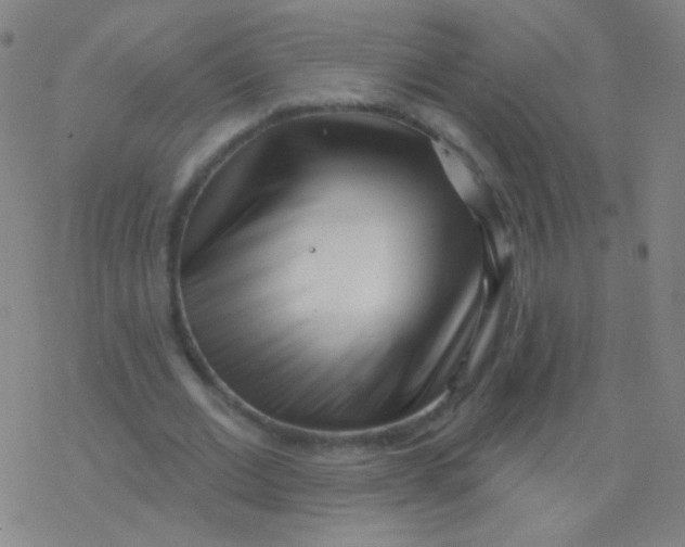 X0000077350677200611101614