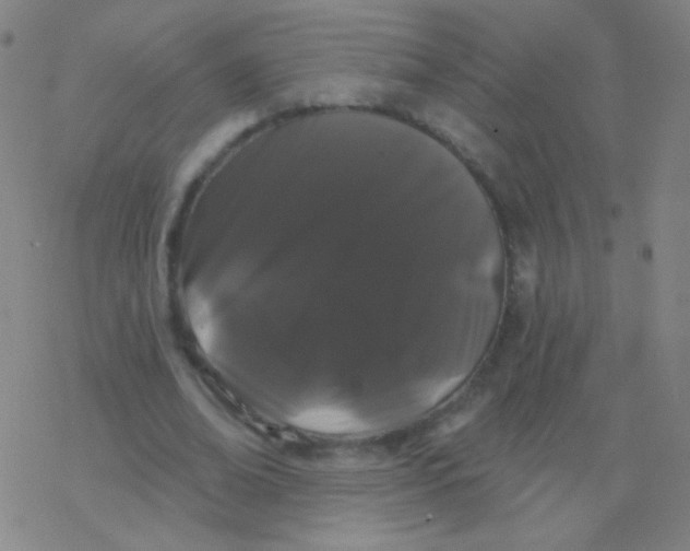 X0000077350678200611101614