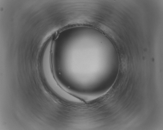 X0000077350680200611101614