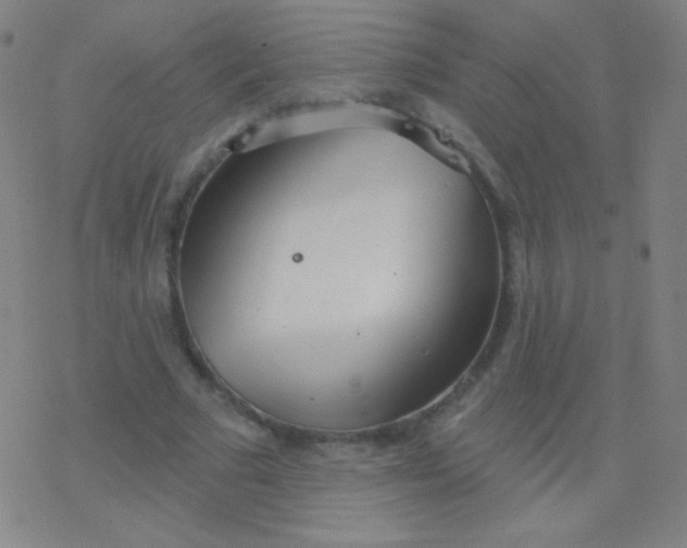 X0000077350681200611101614