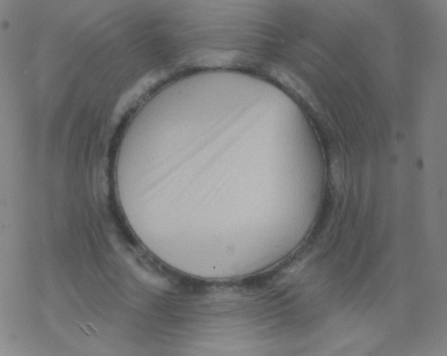 X0000077350682200611101614