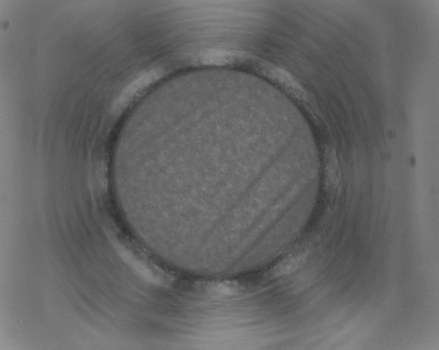 X0000077350683200611101614