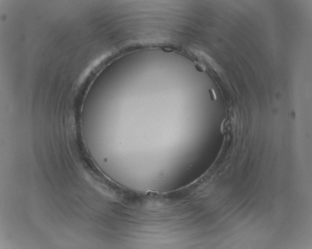 X0000077350684200611101614