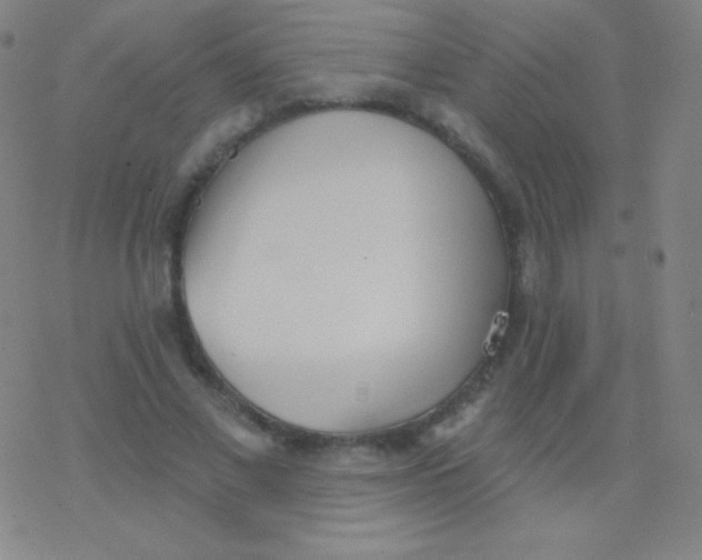 X0000077350685200611101614