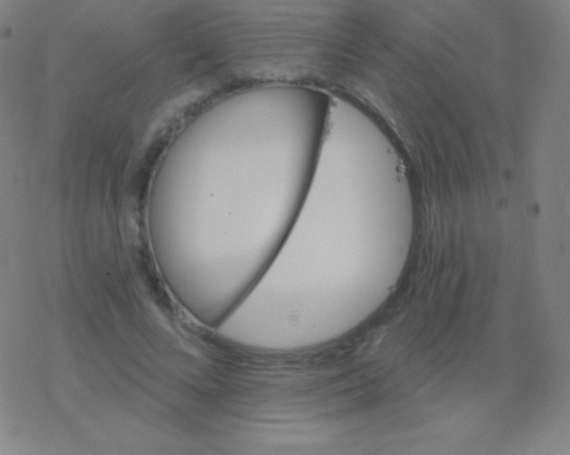 X0000077350688200611101614