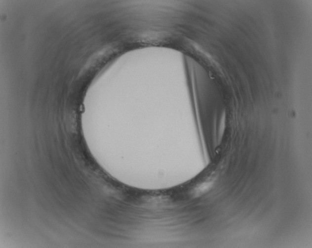 X0000077350689200611101614