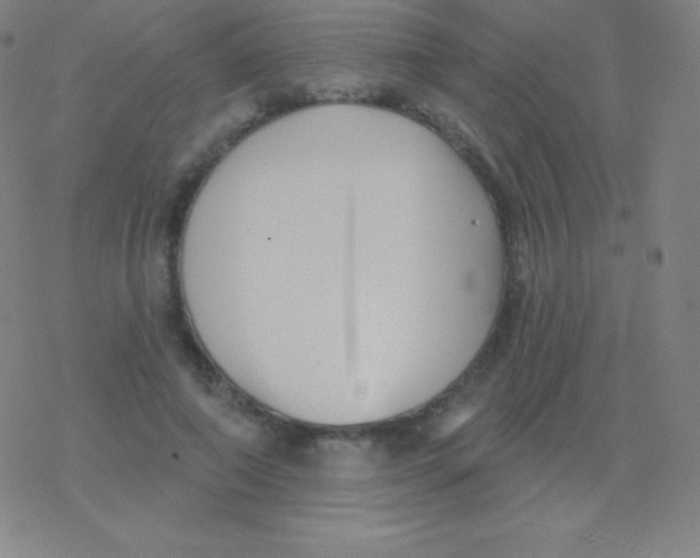 X0000077350690200611101614