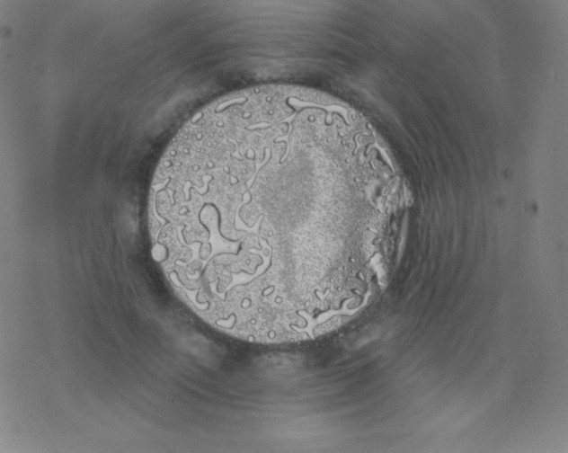 X0000077350691200611101614