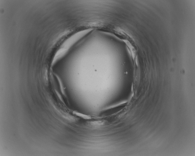 X0000077350692200611101614