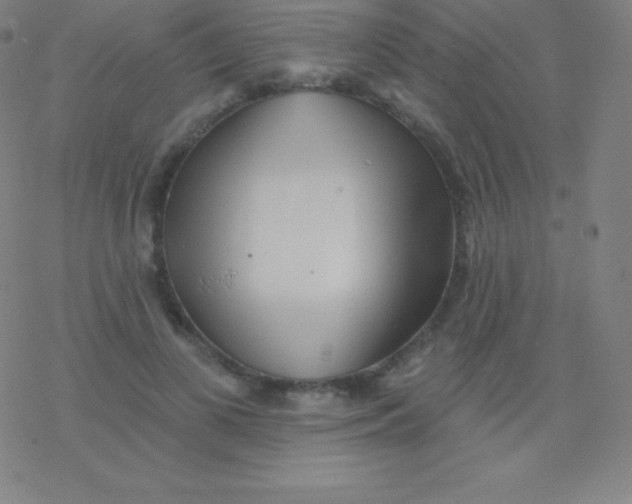 X0000077350693200611101614