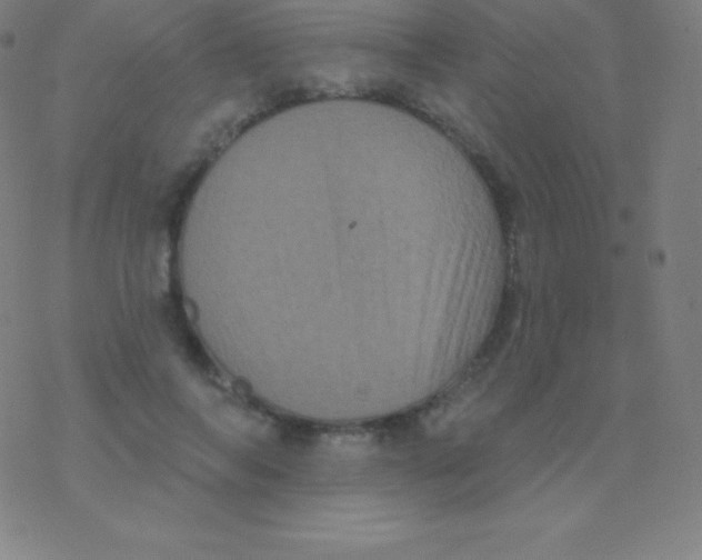 X0000077350694200611101614