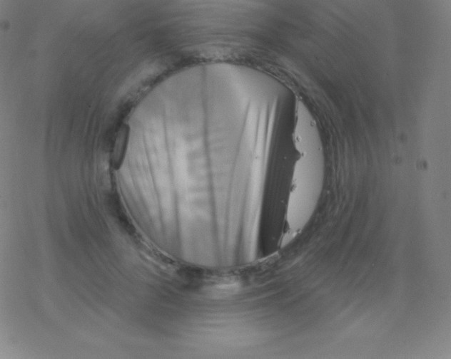 X0000077350696200611101614