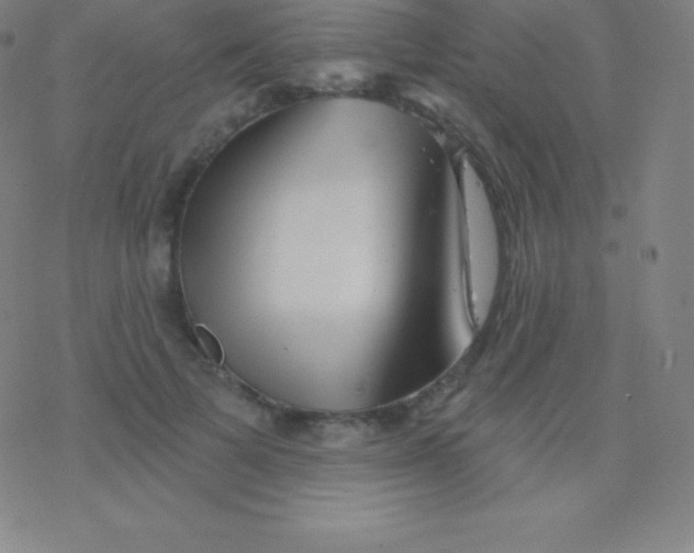 X0000077350697200611101614