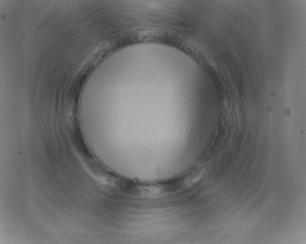 X0000077350698200611101614