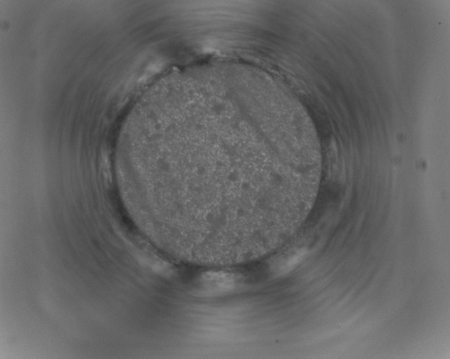 X0000077350699200611101614