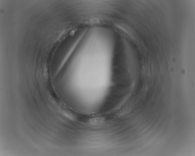 X0000077350700200611101614