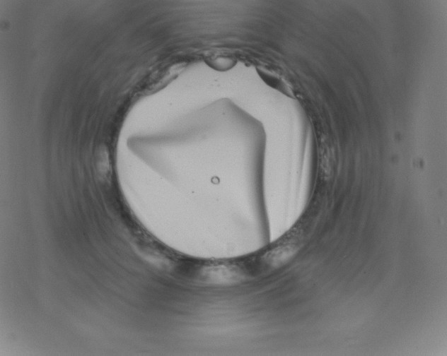 X0000077350704200611101614