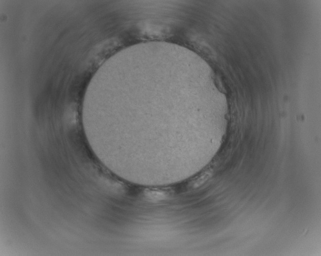 X0000077350706200611101614