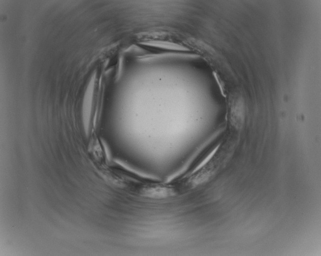 X0000077350708200611101614