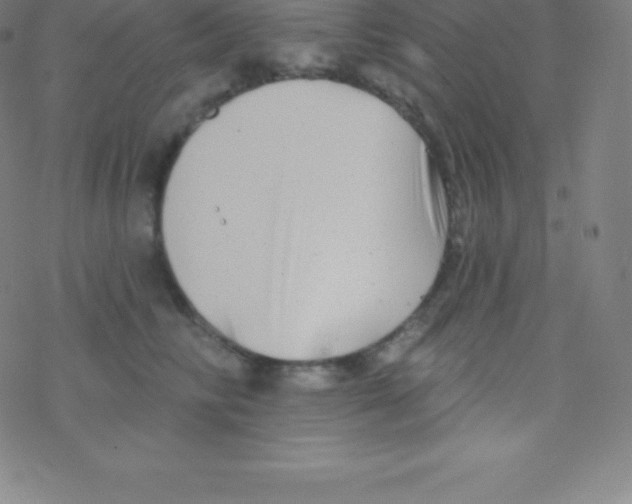 X0000077350710200611101614