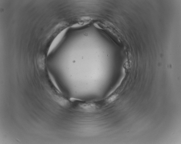 X0000077350712200611101614