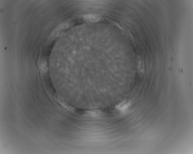 X0000077350713200611101614